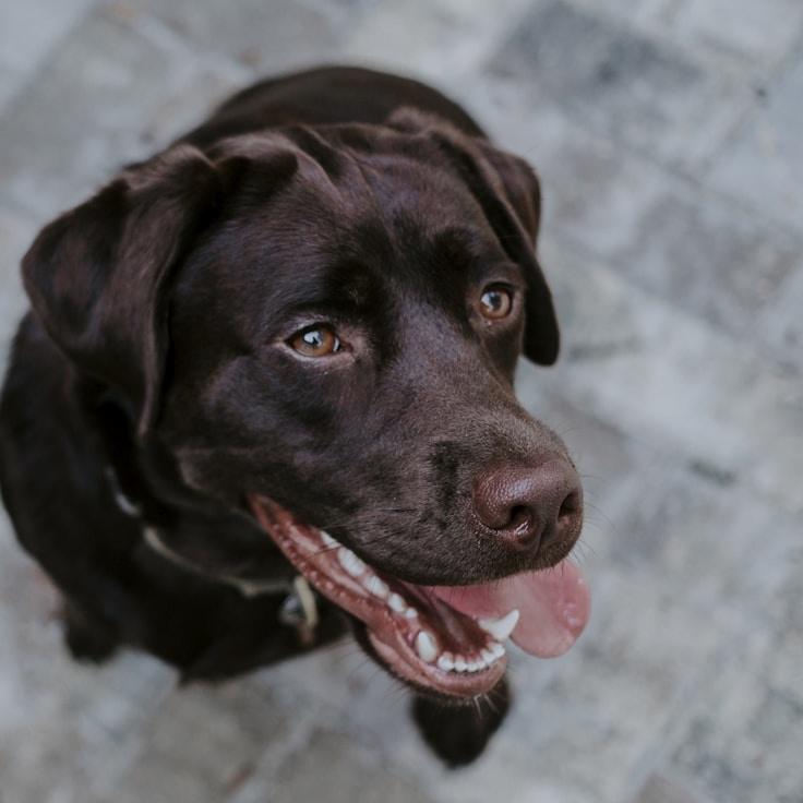 Client professional headshot